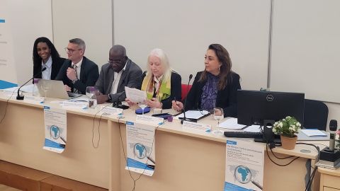 Yaodia Sénou Dumartin, Stéphane Bolle, Bonaventure Mvé-Ondo, Christine Desouches et Nadia Bernoussi